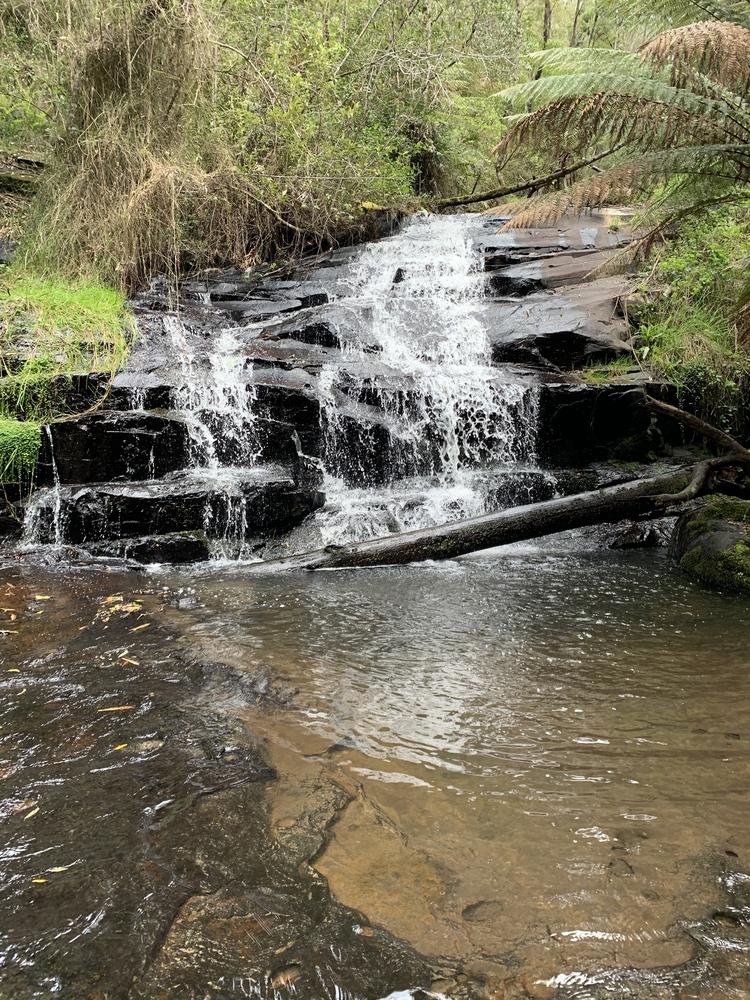 Living like a prince in Melbourne